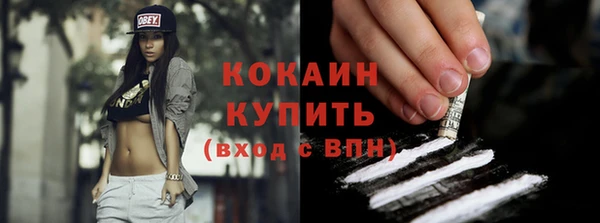 хмурый Сосновка